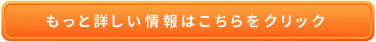Zk@ݐ|̔TCg